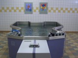 Ванна-бабочка (Хаббарда) для кинезотерапии в воде - Sport Kiosc